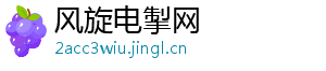 风旋电掣网